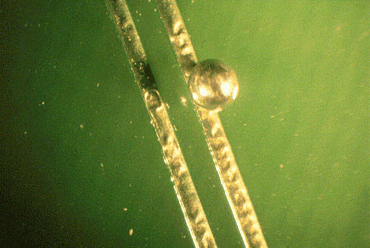 Figure 1: Manual removal of this solder attachment will damage the track Figure 1: Manual removal of this solder attachment will damage the track